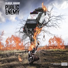 Public Enemy EXPLICIT