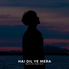 Hai Dil Ye Mera Lofi | Beats by Shaz Flip (Slowed, Reverb & Lo-Fi)