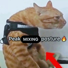 DJ BREAKBEAT GOLDEN CROWN TERBARU 2025 FYP TIKTOK PART 2