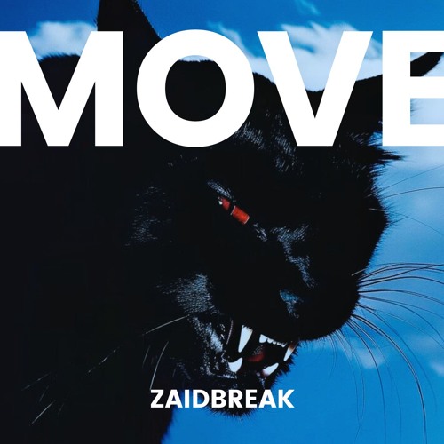Premiere: Zaidbreak - Move [Free Download]