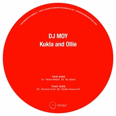 B1 Summer Funk cut
