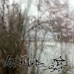 untitled quiz 4 (Bellingham, WA 260103)