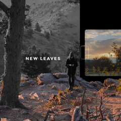MayFlwr - New Leaves