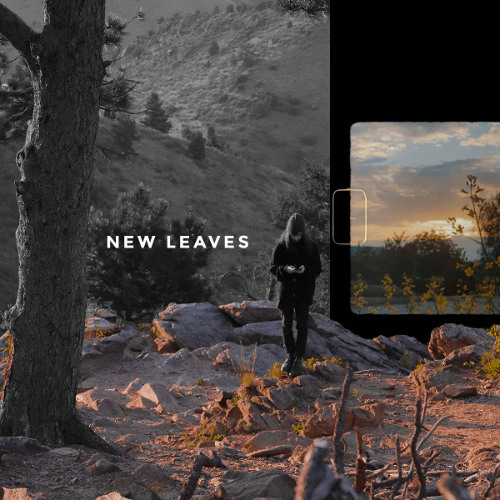 MayFlwr - New Leaves