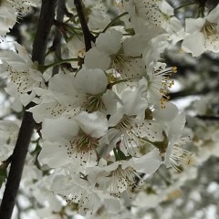 2021 Spring Deep Mix