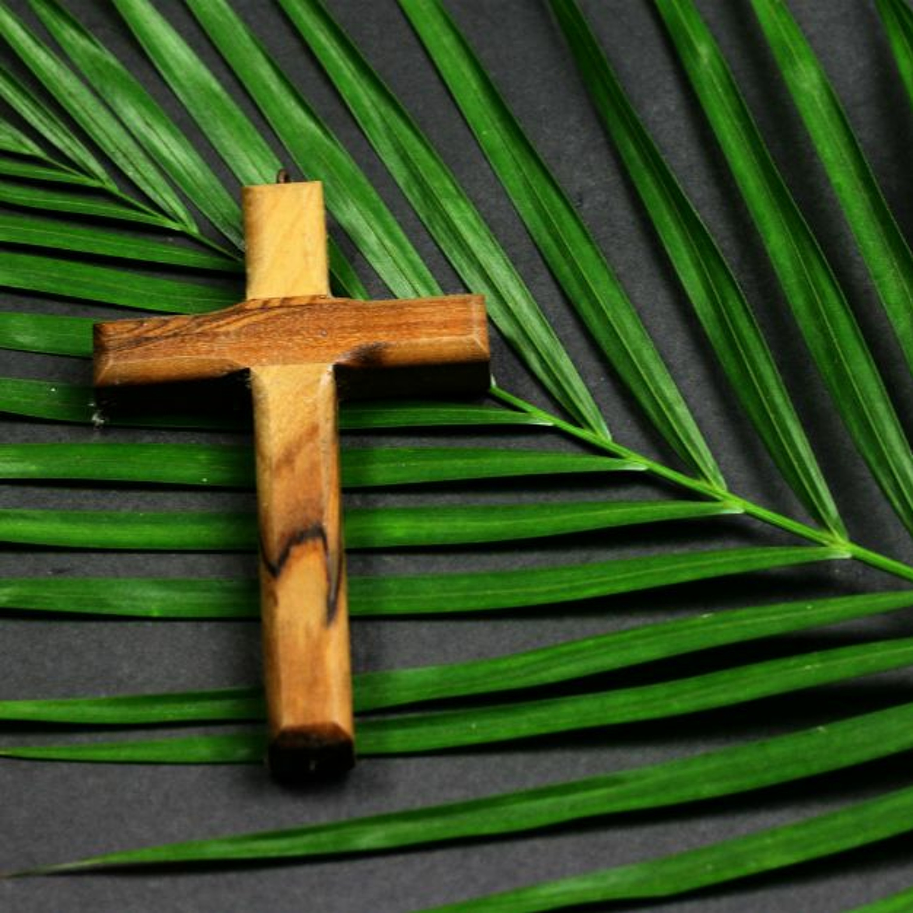 Sunday 2 April 2023 // Palm Sunday episode artwork