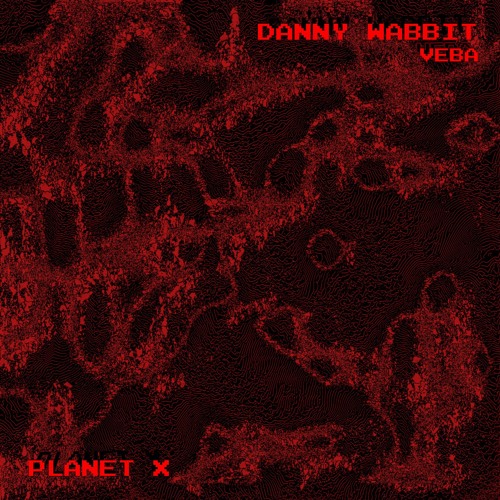 Premiere: Danny Wabbit -  Muay [PX16]