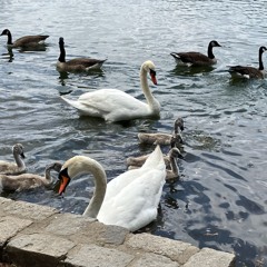 Ekphrastic Mix 6 w/ Gabriel Garcia-Leeds & Strawberry Hands