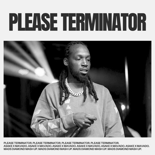 Please x Terminator - Mavado x Asake (Mads Diamond Mash Up)