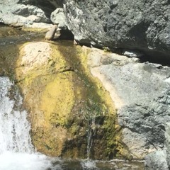 Mountain Reset with Neuralik