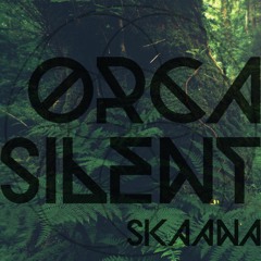 Orca Silent - Typhoon Class (Oldschool Dubtechno .Producer Remix)
