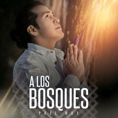 A Los Bosques