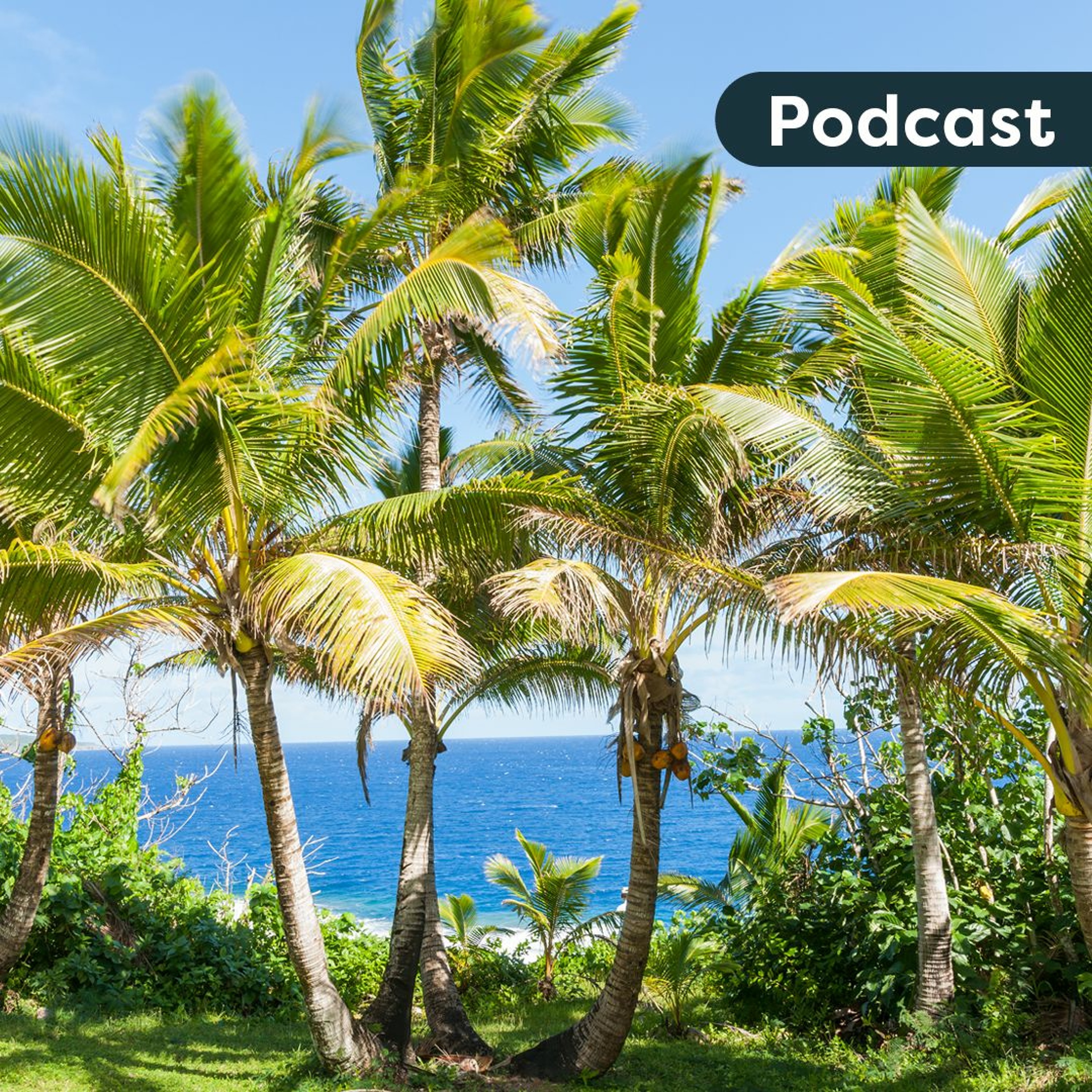 The importance of ANZH on the past,  present and future of New Zealand born Niueans episode artwork