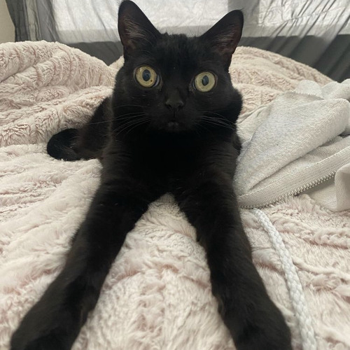 fuyu no hanashi (drama cd)