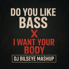 Do you like Bass X I want your Body (DJ Bilseye Mashup)