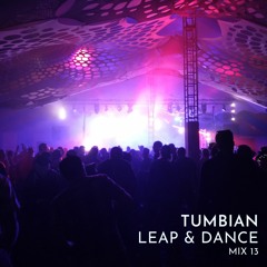 Leap & Dance DJ Mix 13