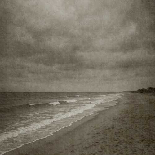 Gris