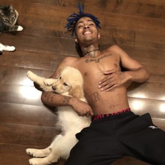 xxxtentacion - Can't Be Seen With You (Voice Memo)