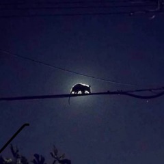 RIPS, BLIPS, CHOPS AND DROPS