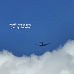 D.wolf - Find your pace(prod by.rémdolla)