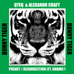 Resurrection (feat. Shamil')