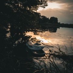 Electric River 2020