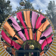 Maikol's Lento Set at Sequoia Sunrise 2025