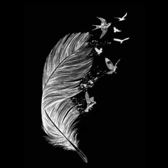 Like A Feather