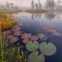 Dem Franchize Boyz - White Tee (earthFLIP)