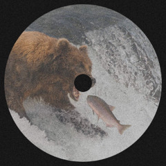 TEDDYBEARS - COBRASTYLE (INERTIA EDIT) (Extended Mix)