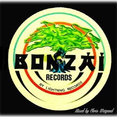 Chris Weigand - BONZAI Records Tribute Set