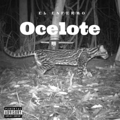 Ocelote (feat. Piti de la zona)