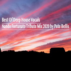 Best Of Deep House Vocals I Nando Fortunato Tribute Mix 2020 By Pete Bellis
