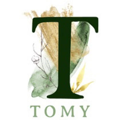 Người ra đi vì ....? - Tomy Nguyễn - Haozi