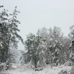 Northern