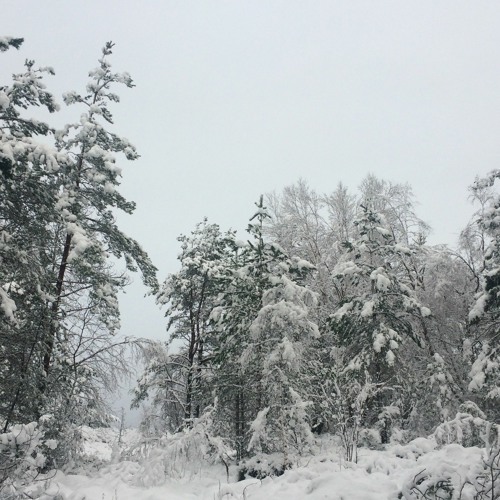 Northern
