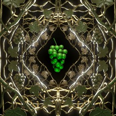 Grape | Ethno-Downtempo-Organichouse  | Eden is dark set