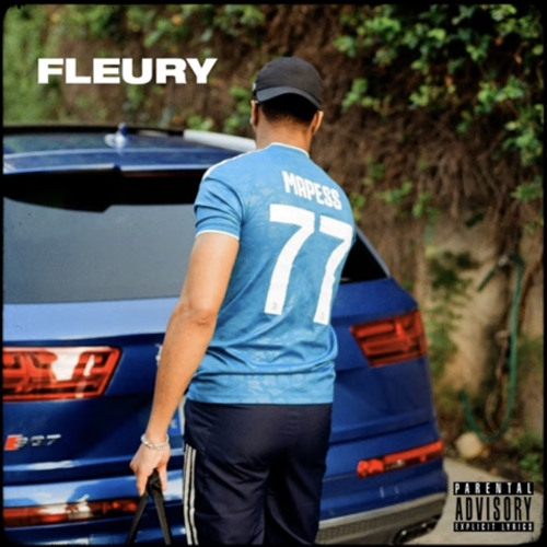 mapess - fleury