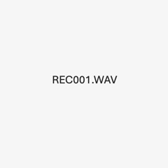 REC001.WAV