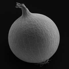 Onion Skin