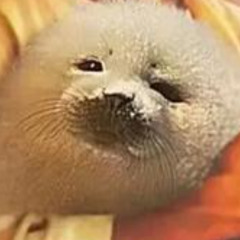 voice memo - October 27, 2025 at 6:36 PM