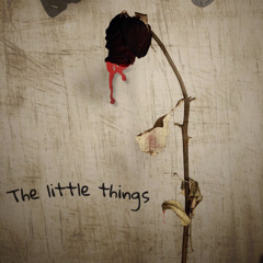 Sm9 - the little things