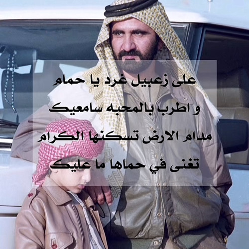 ‎⁨اصيل ابوبكر | على زعبيل⁩