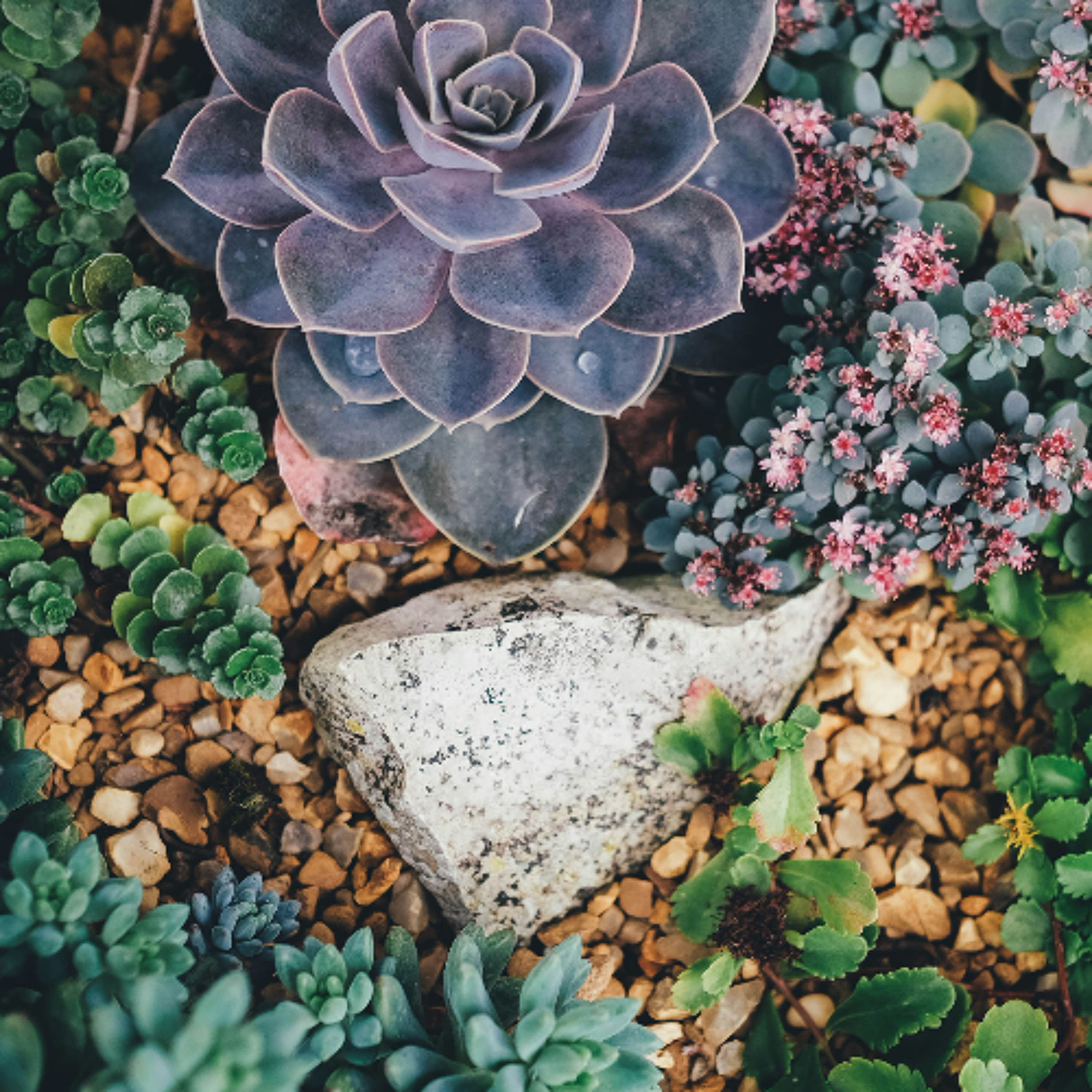 Nature Provides episode artwork