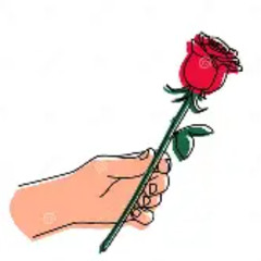 rose pedal fragrance