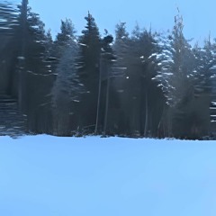 snowdance