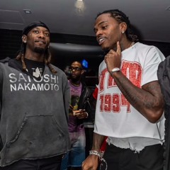 different species offset x gunna