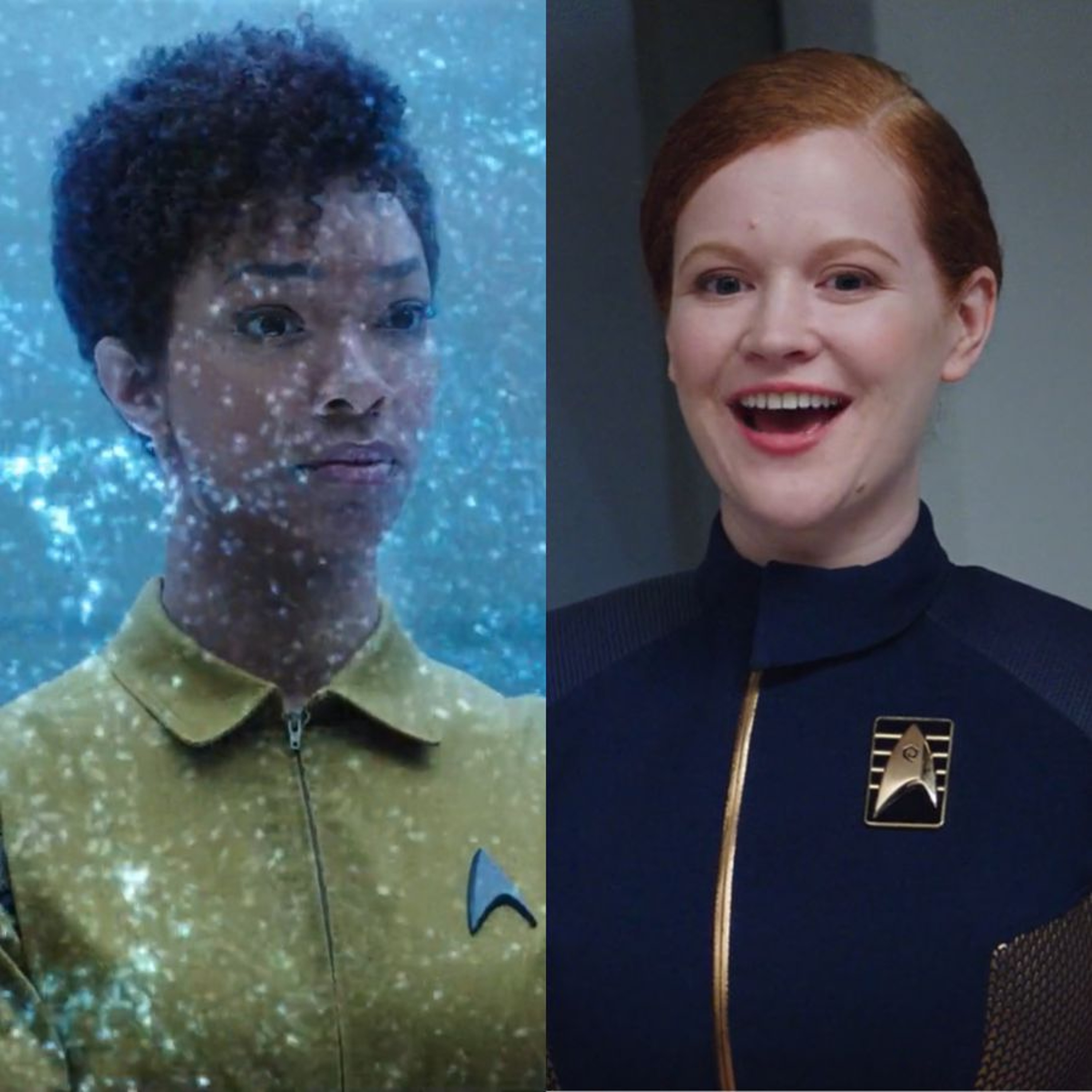 A Star to Steer Her By