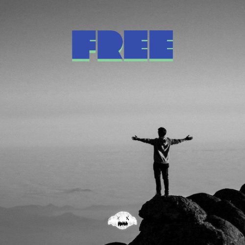 Wild & Free