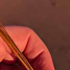 withheld frustration